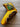 *NEW* Scotty Cameron Gallery Exclusive Yellow Cali Bear Tees & Trees Head Cover