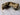 *NEW* Hatch Golf NOOB Black/Gold President USA Two Face Ego Blade Head Cover