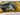 *NEW* Hatch Golf NOOB 1/3 Golden Gator Drip Blade Head Cover