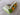 SWAG Golf NOOB Masters Menu Glasses Peach Blade Head Cover
