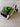 *NEW* Scotty Cameron MOTO Super Select Newport 2.5+ 34.5in Putter Neon JYD Cover