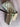 *NEW* Scotty Cameron Custom Torched Chromatic Masters Green Newport 35in Putter