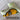 SWAG Golf NOOB Masters Menu Glasses Peach Blade Head Cover