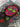 *NEW* SWAG Golf NOOB Black & Pink Sugar Skull Driver Head Cover