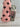 *PRISTINE* Scotty Cameron My Girl 2008 Fleur De Lis 33in Putter