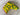 *NEW* SWAG Golf NOOB Augusta Yellow Concentric Skulls Blade Head Cover