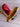 *NEW* Scotty Cameron Custom 24K Gold Plated Cherry Red Newport 35in Putter