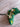 *NEW* Scotty Cameron Custom Torched Chromatic Masters Green Newport 35in Putter
