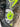 *NEW* Hatch Golf SEALED WGAP We Give a Putt Defective Neon Croc Blade Head Cover