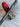 *NEW* Scotty Cameron Custom Rainbow PVD Lime Green Newport 2 35in Putter