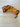 *NEW* Scotty Cameron Orange Koi Head Cover