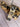 *NEW* Scotty Cameron Custom Torched Chromatic Tiger Stripes Newport 35in Putter