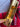 *NEW* Scotty Cameron Custom 24K Gold Hot Head Harry Tour Rat Newport 35in Putter