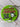*NEW* Scotty Cameron Baller Boy Putting Disc