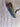 Scotty Cameron Circa 62 Model No. 3 35in Putter