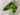 SWAG Golf NOOB Masters Green Amen Concentric Skulls Blade Head Cover