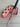 *PRISTINE* Scotty Cameron My Girl 2008 Fleur De Lis 33in Putter