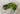 SWAG Golf NOOB Masters Green Amen Concentric Skulls Blade Head Cover