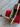 *NEW* Scotty Cameron Custom Rainbow PVD Psychedelic Newport 2 35in Putter