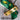 *NEW* Scotty Cameron Custom 24K Gold Masters Green Newport 2 35in Putter