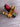 *NEW* Scotty Cameron Custom 24K Gold Cherry Red & Diamond Buttons 35in Putter