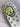 *PRISTINE* SWAG Golf Ecto Flare Skull 2.0 Driver Head Cover