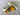 SWAG Golf NOOB Masters Menu Glasses Peach Blade Head Cover