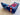 *NEW* Scotty Cameron Circle T Blue Tour Only USA NOOB Putter Head Cover