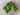 SWAG Golf NOOB Masters Green Amen Concentric Skulls Blade Head Cover