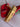 *NEW* Scotty Cameron Custom 24K Gold Hot Head Harry Tour Rat Newport 35in Putter
