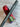 *NEW* Scotty Cameron Custom Rainbow PVD Psychedelic Newport 2 35in Putter