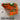 Hatch Golf NOOB Roscoe's Pimento Dream Blade Head Cover