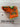 Hatch Golf NOOB Roscoe's Pimento Dream Blade Head Cover