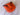 *NEW* Hatch Golf NOOB 15 Majors Tiger Tear Colorway Head Cover