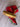 *NEW* Scotty Cameron Custom 24K Gold Cherry Red & Diamond Buttons 35in Putter