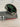 *NEW* Scotty Cameron Limited Monoblok 6.5 Custom Black/Green 35in Putter