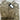 Scotty Cameron Gallery Crown Crafted Jack the Donkey Jute Perf 1/4 Zip- Small