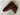 *NEW* SWAG Golf NOOB Black Friday Mystery Pink Shutter Blade Head Cover