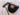 Evnroll	ER5 Hatchback Black Mallet 355g 32.5in Putter