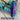 *NEW* Scotty Cameron Custom Blue Violet PVD Psychedelic Newport 35in Putter