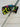 *PRISTINE* Scotty Cameron MOTO Super Select GoLo 6.5 34.5in Putter