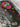*NEW* SWAG Golf NOOB Black & Pink Sugar Skull Driver Head Cover