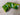 SWAG Golf NOOB Masters Green Amen Concentric Skulls Blade Head Cover