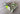 *PRISTINE* SWAG Golf Ecto Flare Skull 2.0 Blade Head Cover